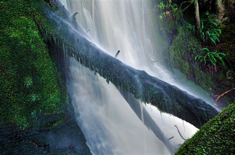 Shutterbugs Capturing the World Around Us: Rainforest waterfall