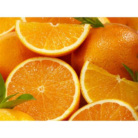 Valencia Oranges | Florida citrus, Farm fresh fruit, Citrus fruit