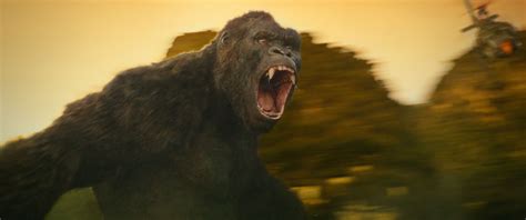 Watch: King Kong Returns in Trailer for 'Kong: Skull Island' - Newsweek