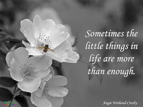 "Sometimes the little things in life are more than enough." Angie ...