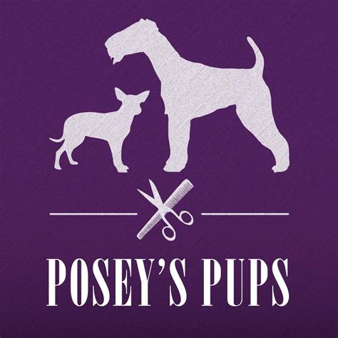 Posey's Pups Dog Grooming | Lakewood CO