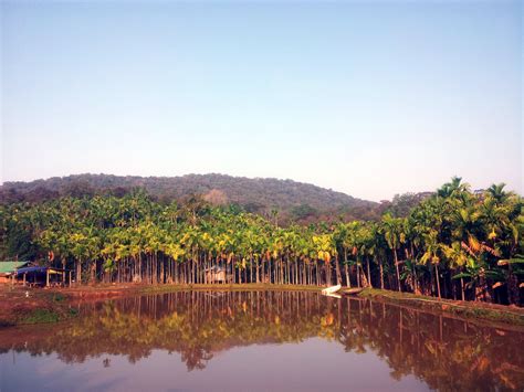 Dandeli wildlife sanctuary located at Joida, Karnataka, India. This place nested in Northern ...