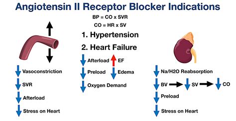 Angiotensin II Receptor Blockers (ARBs): Indications, Side Effects, Mechanism of Action ...