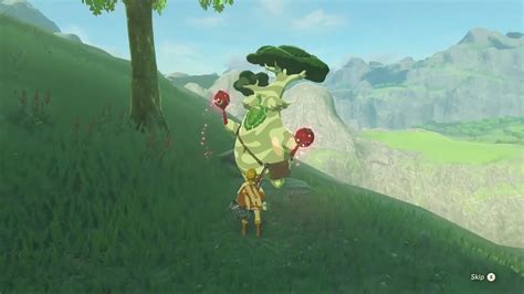 You Get A Weird Reward For Collecting All 900 Korok Seeds In THE LEGEND ...