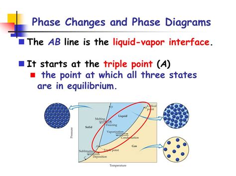 PPT - Phase Changes & Phase Diagrams PowerPoint Presentation, free ...