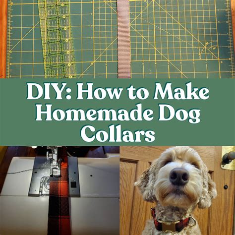 DIY: How to Make Your Own Dog Collar — Tails of Connection - How to connect with my dog, online ...