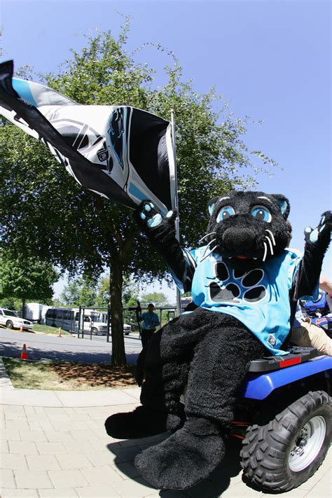 The Carolina Panthers Mascot Is Absolutely Purrfect