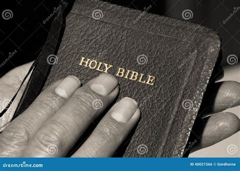 Hands Holding Bible stock photo. Image of life, catholicism - 40021566