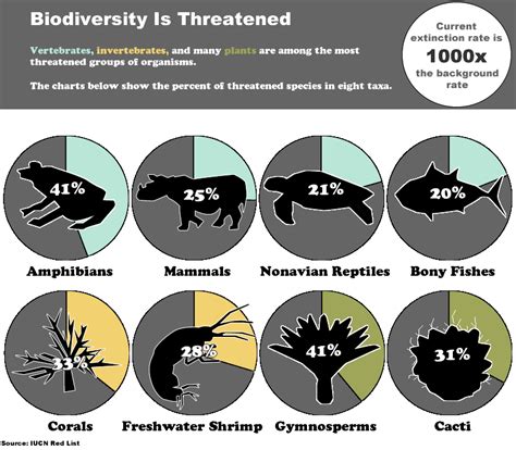 Species Extinctions Caused by Humans - Biology | Socratic