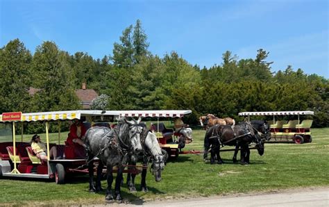 Adventures on the Great Lakes with Viking | Cruises By Linda