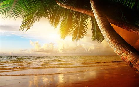 Tropical Paradise Sunset Wallpapers - Top Free Tropical Paradise Sunset Backgrounds ...