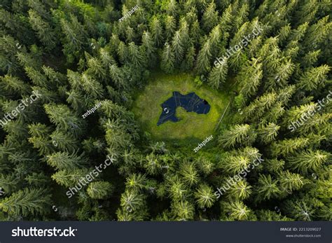 Aerial Top View Forest Tree Rainforest Stock Photo 2213209027 | Shutterstock