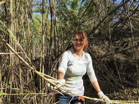 Habitat Restoration - San Diego chapter - CNPS