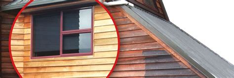 Cedar cladding restoration | Article