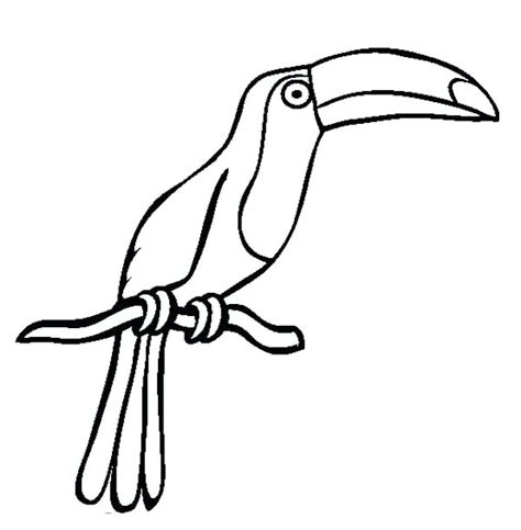 Toucan Bird Drawing | Free download on ClipArtMag