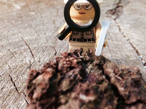 Paleontologist at work - LEGO Minifigures, Series 13 | Flickr