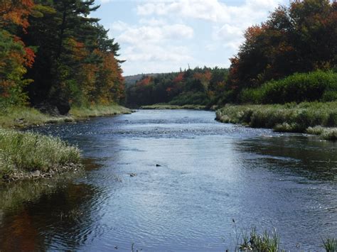 St. Mary's River Association - The Foundation for Conservation of ...