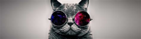 Cat With Sunglasses Dual Monitor Wallpaper - Pixelz