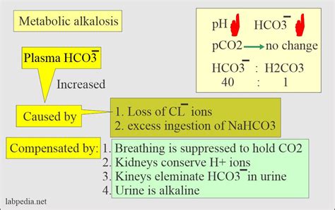 Acid-Base Balance:- Bicarbonate level (HCO3-)