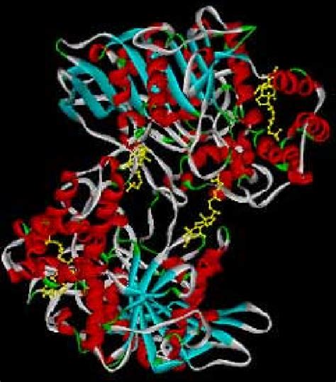 Figure 4 from Chemistry and biology of bile acids | Semantic Scholar