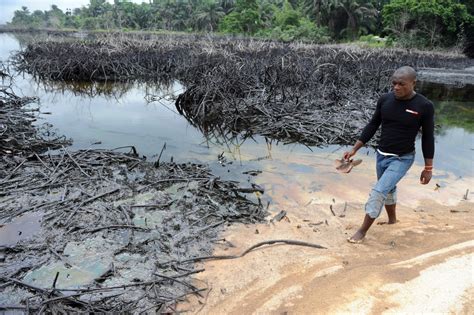 Trinidad Oil Spills Leave State-Owned Energy Company Scrambling To ...