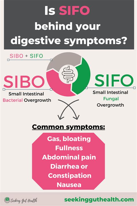 Is SIFO behind your stubborn digestive symptoms? » SeekingGutHealth