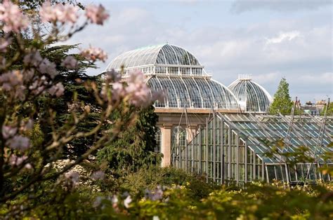 Smith Scott Mullan Associates Edinburgh Biomes for the Royal Botanic Garden Edinburgh