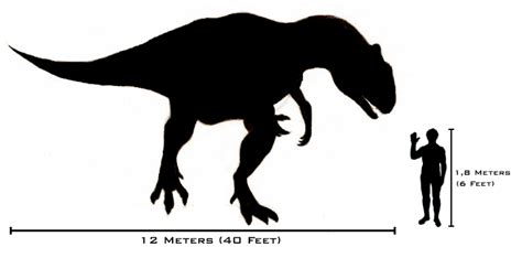 File:Human-allosaurus size comparison.png - Wikimedia Commons