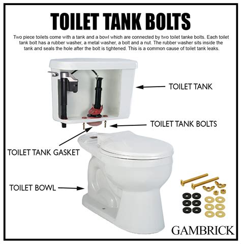 toilet tank bolts infographic chart 1.0 - Modern Design