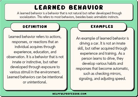 15 Learned Behavior Examples (2024)