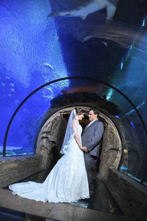 Vintage Travel Themed Wedding at Mandalay Bay's Shark Reef Aquarium ...