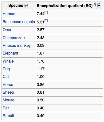 good memes: Human intelligence vs. other animals