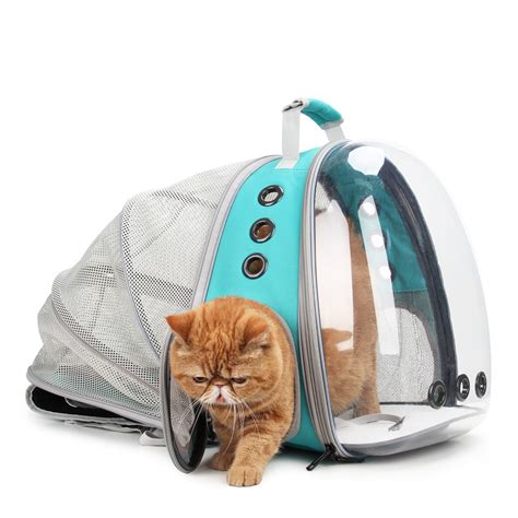 Cat Bubble Backpack with Clear Window for Hiking-【Back Expandable】 – lollimeow