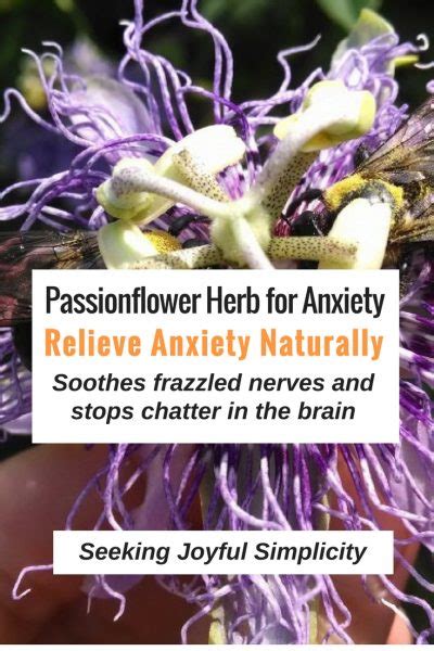 Benefits of Passionflower – Reduce Anxiety and Sleep Better Naturally