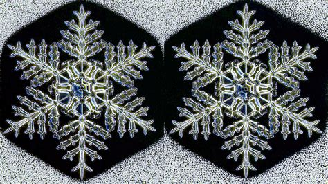 Who Ever Said No Two Snowflakes Were Alike? - The New York Times