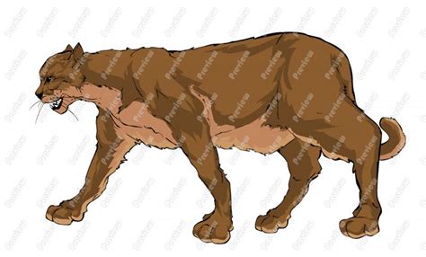 Download Mountain Lion clipart for free - Designlooter 2020 👨‍🎨