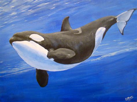 Orca by MzJekyl on DeviantArt