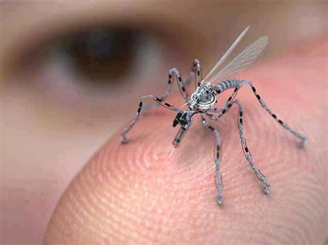 TRANSCEND MEDIA SERVICE » Is It a Mosquito? No, It Is a Drone!