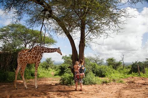 Sarara Camp in Kenya — SARARA | Safari Ecolodges & Foundation in Kenya