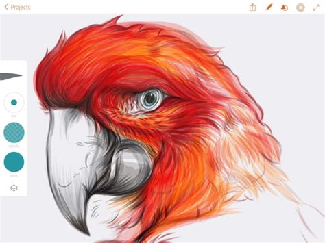 New Adobe Illustrator Draw App Now Available for iPad - iClarified