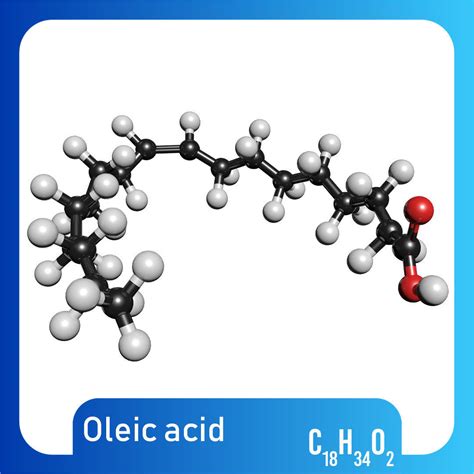 Oleic acid 3D Model C18H34O2 3D model | CGTrader