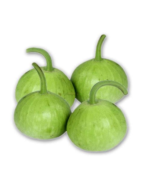 Round Gourd (Ghia Kadu) F-1 | Sunny View Seeds | Buy Seeds, Bulbs ...