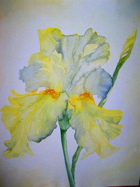 IMG_1364 | by anelest Loose Watercolor Paintings, Iris Painting, Flower Art Painting, Watercolor ...