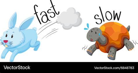 Rabbit runs fast and turtle runs slow Royalty Free Vector