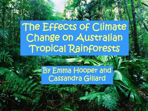 PPT - The Effects of Climate Change on Australian Tropical Rainforests PowerPoint Presentation ...