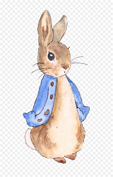 Peter Rabbit Drawing at GetDrawings | Free download