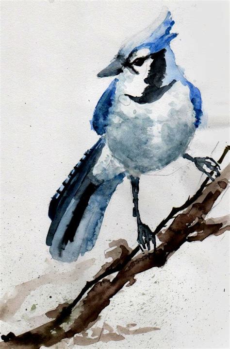 19 best blue jay watercolors images on Pinterest | Water colors, Watercolor paintings and ...