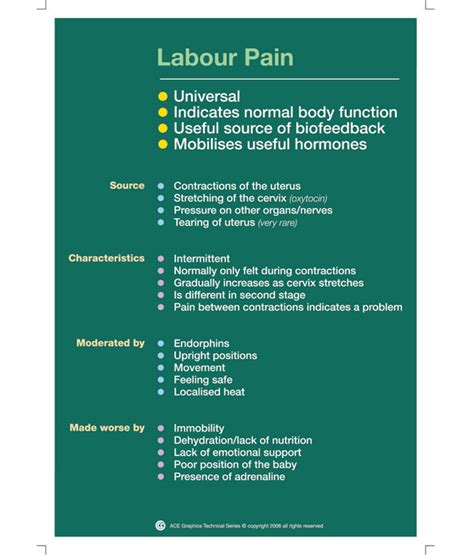 Labour Pain Set of 5 Charts