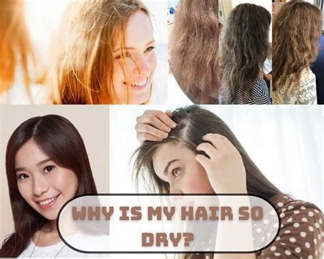 Why Is My Hair So Dry - Major Causes And 5 Best Solutions