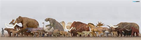 Pleistocene Megafauna by SameerPrehistorica on DeviantArt